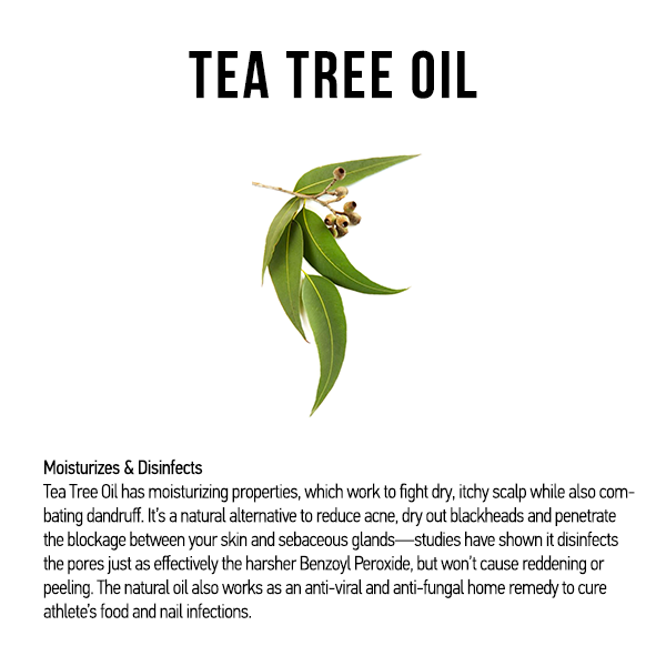 Natural & Curly Anti Itch Scalp Spray