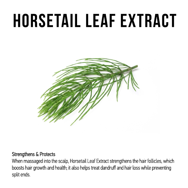 Natural & Curly Natural Conditioner