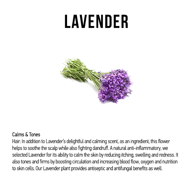 Natural & Curly Hair Nourishment Oil