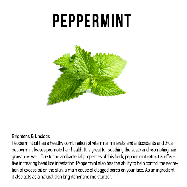 Natural & Curly Natural Conditioner