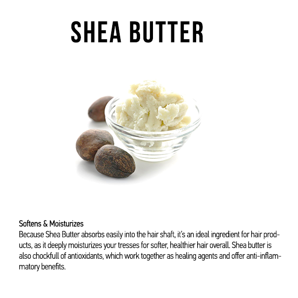 Cucumber Sage Body Lotion